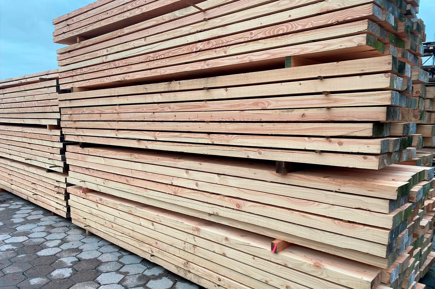 Beperken Vlieger investering Houthandel van Dal | houten tuinhuis - douglas en eiken hout